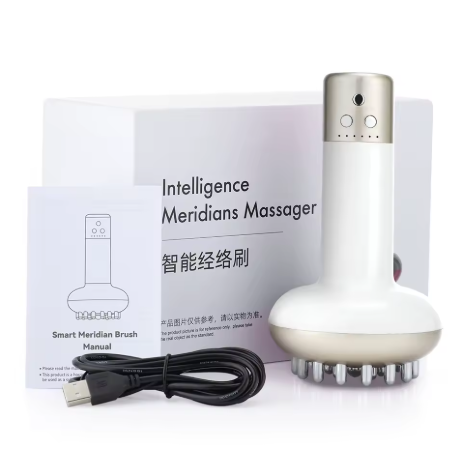 Electric Lymphatic Drainage Machine Meridian Body Massage Brush Microcurrent Anti Cellulite Guasha Physiotherapy Apparatus
